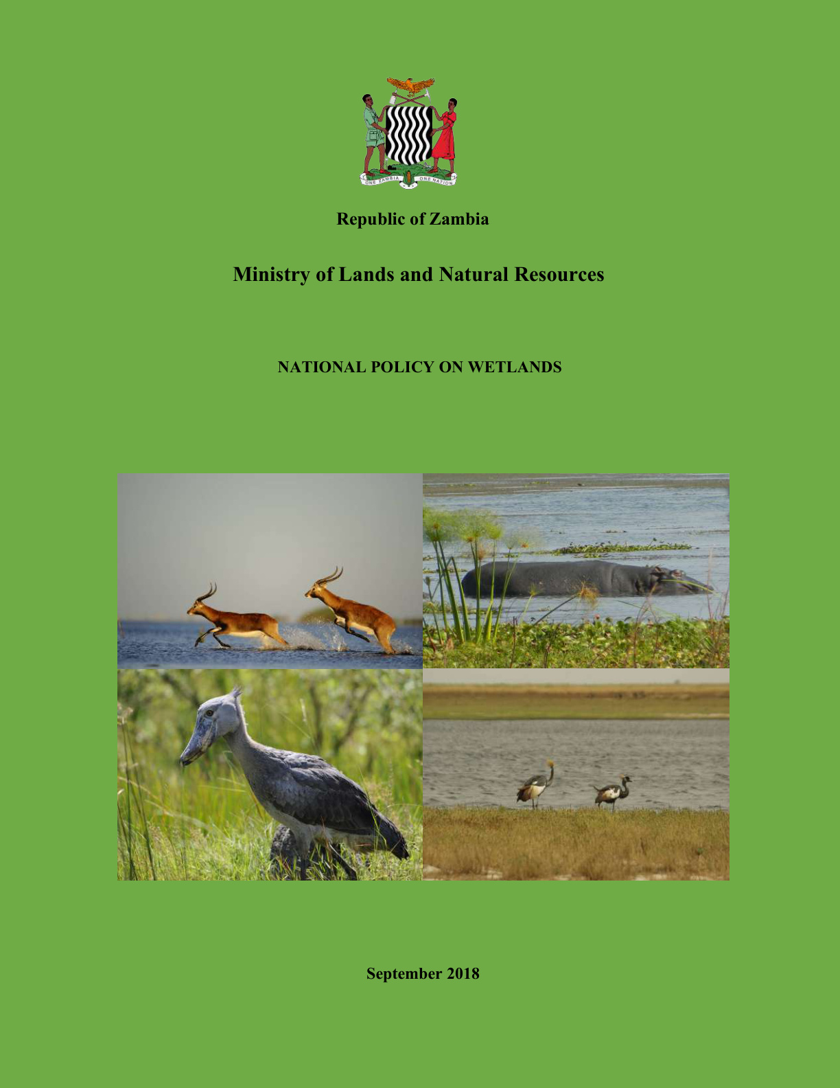 National Policy on Wetlands cover