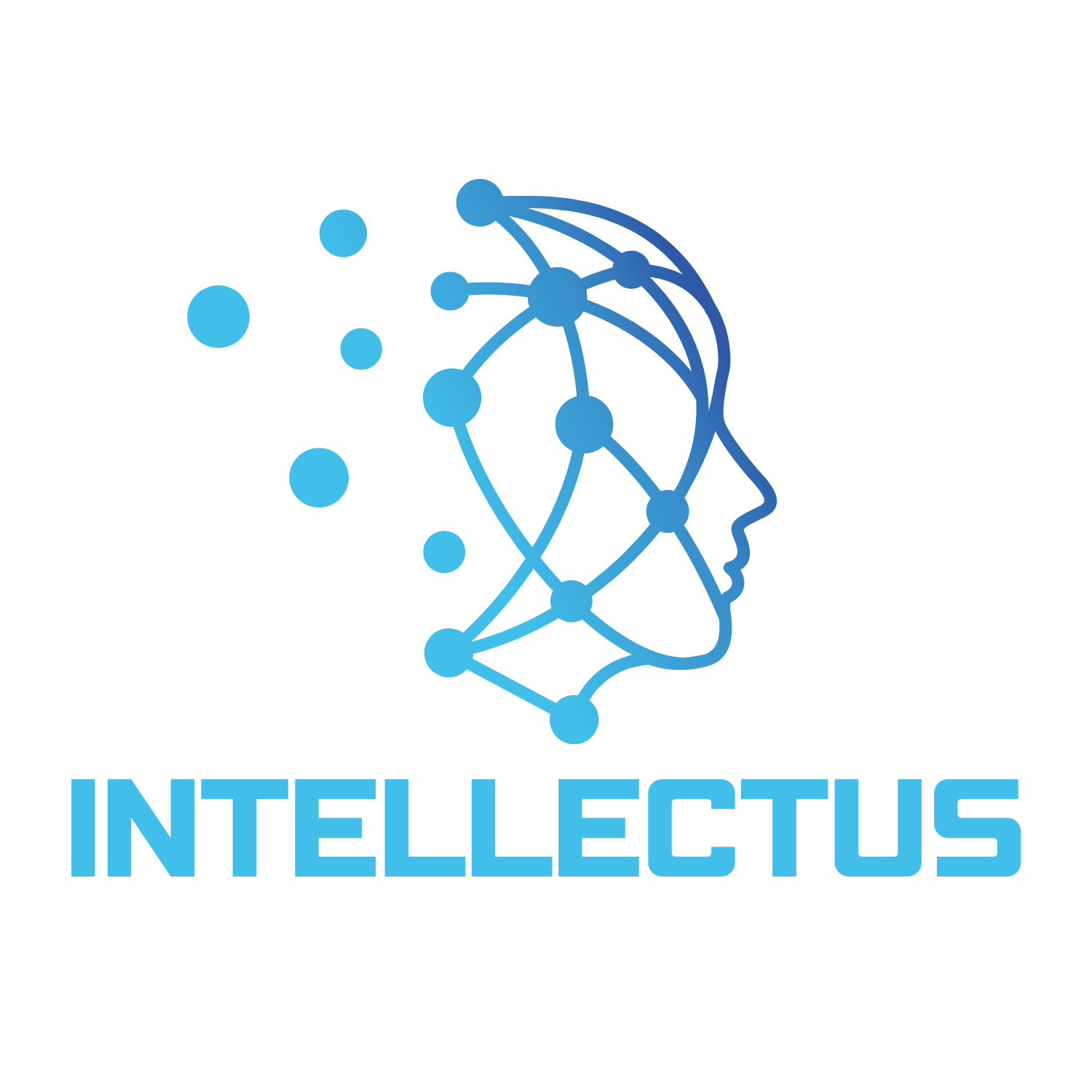 Intellectus Zambia